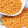 Baking Paint Glass Seed Beads X1-SEED-B001-02A-17-1