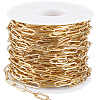 Beebeecraft 1 Roll PVD Vacuum Plating 304 Stainless Steel Paperclip Chains CHS-BBC0001-08-1