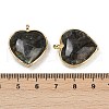 Natural & Synthetic Mixed Gemstone Pendants G-K347-10G-4