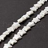 Natural Trochid Shell/Trochus Shell Beads SSHEL-O001-25D-01-2