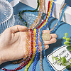 8 Strands 8 Colors Electroplate Transparent Glass Beads Strands EGLA-TA0001-37-6