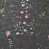 Mesh Embroidered Lace Trim OCOR-WH0073-33B-2