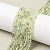 Natural Prehnite Beads Strand G-RM241221-B11-1