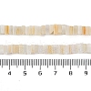 Handmade Lampwork Beads Strands LAMP-Q037-02B-16-4