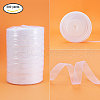 Organza Ribbon ORIB-T001-12mm-1001-2