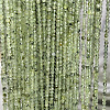 Natural Prehnite Beads Strands G-RM250104-A7-1