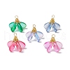 Dyed Glass Pendants PALLOY-MZ00658-2