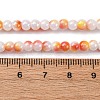 Pearlized Handmade Lampwork Beads Strands LAMP-R020-04-5