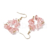 Natural Mixed Stone Beads Dangle Earrings EJEW-JE06388-5