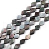 Natural Black Lip Shell Beads Strands SHEL-M018-16-1