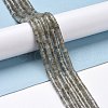Natural Labradorite Beads Strands G-P468-16-2