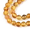 Natural Amber Beads Strands G-K387-D02-03-3