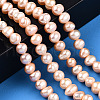 Natural Cultured Freshwater Pearl Beads Strands PEAR-N013-06M-2