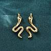 Snake Brass Micro Pave Cubic Zirconia Dangle Earrings EJEW-G425-04G-02-2