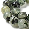 Natural Prehnite Beads Strands G-P322-48-10mm-01-4