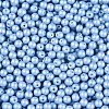 Glass Seed Beads SEED-T007-01N-2