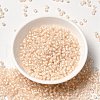 6/0 Transparent Glass Seed Beads SEED-F003-03A-12-2