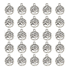 DICOSMETIC Tibetan Style Alloy Pendants FIND-DC0006-12A-1