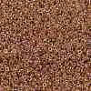 MIYUKI Round Rocailles Beads SEED-X0056-RR0275-3