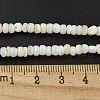 Dyed Natural Freshwater Shell Beads Strands X1-BSHE-G039-07N-4