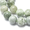 Natural Myanmar Jade/Burmese Jade Beads Strands G-D0001-08-10mm-3