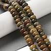 Natural Picasso Jasper Beads Strands G-Q161-B01-03-2