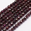 Natural Garnet Beads Strands X-G-F460-28-1