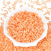 Glass Bugle Beads SEED-N007-28L-2