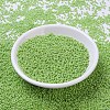 MIYUKI Round Rocailles Beads X-SEED-G007-RR0479-2