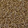 MIYUKI Delica Beads SEED-J020-DB2155-3