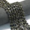 Natural Larvikite Beads Strands G-C116-A30-02-1
