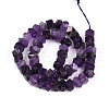 Natural Amethyst Beads Strands G-N347-09A-06-3