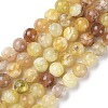 Natural Yellow Opal Beads Strands G-Q1001-A01-02-1