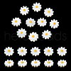  20Pcs Natural Freshwater Shell Beads SHEL-NB0001-65A-4