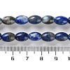 Natural Lapis Lazuli Beads Strands G-I369-B15-01-5