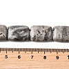 Natural Map Stone Beads Strands G-S386-A13-5