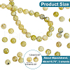  3 Strands Natural Dendritic Jasper Beads Strands G-NB0004-69-2
