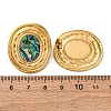 304 Stainless Steel Natural Paua Shell Stud Earrings EJEW-Z103-07G-5