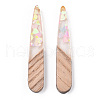 Transparent Resin & White Wood Pendants RESI-N039-30-3