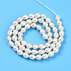 Natural Cultured Freshwater Pearl Beads Strands PEAR-N012-05X-3