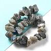 Raw Rough Natural Labradorite Beads Strands G-P528-A16-01-2