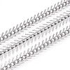 304 Stainless Steel Fishbone Link Chains CHS-N004-01P-1