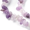 Natural Lepidolite/Purple Mica Stone Beads Strands G-G0003-B07-4