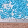 MIYUKI Delica Beads SEED-J020-DB0755-4