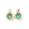304 Stainless Steel Charms STAS-Z115-01G-18-1
