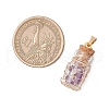 5Pcs Copper Wire Wrapped Glass Jar Pendants PALLOY-JF03642-2