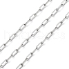 304 Stainless Steel Paperclip Chains CHS-M009-04P-01-1