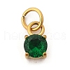 304 Stainless Steel Micro Pave Cubic Zirconia Pendants STAS-R167-01A-G-1