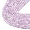 Natural Kunzite Beads Strands G-Q044-A01-2x2mm-4