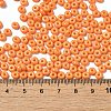 Baking Paint Glass Seed Beads X1-SEED-B001-02A-07-4